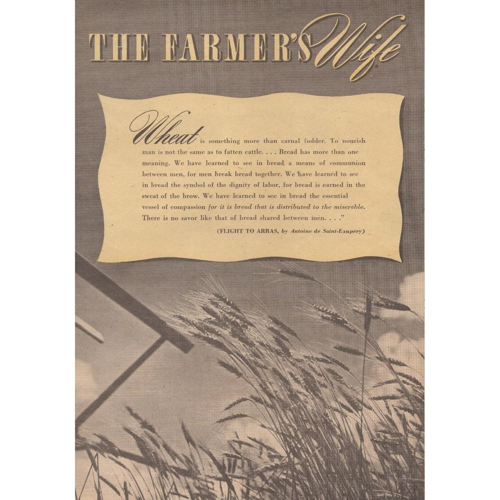 1946 Farmers Wife Vintage Farm Print Flight To Arras Antoine de Saint Exupery